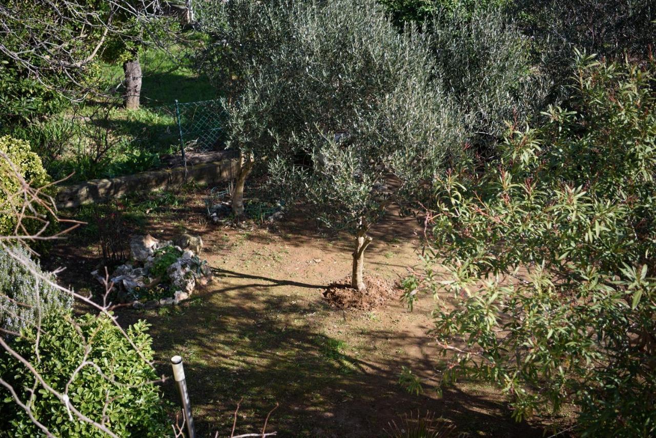 Villa Claudia Lemon Appartment Premantura Exterior photo